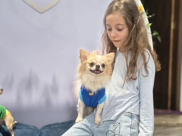 Criança com seu pet em um momento de carinho