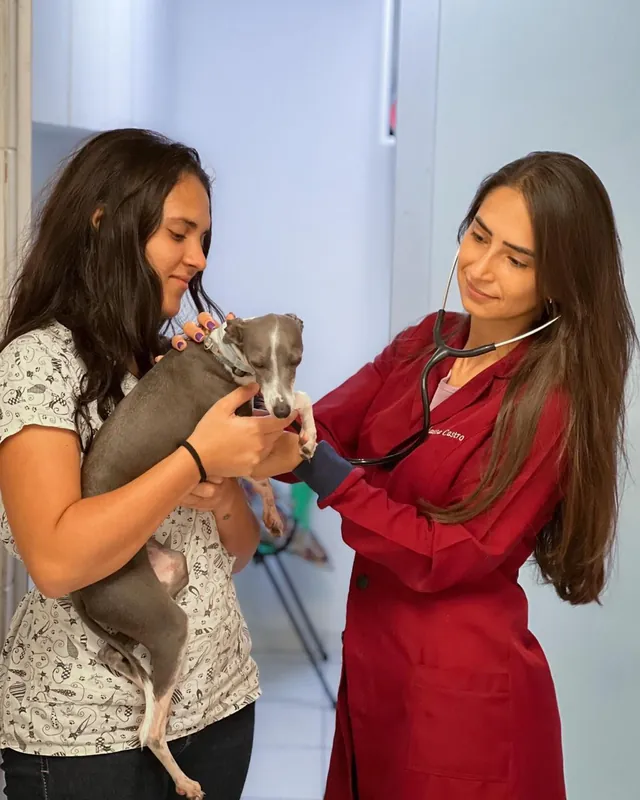 Dra. Vanessa Mendonça Castro examinando um cão com estetoscópio