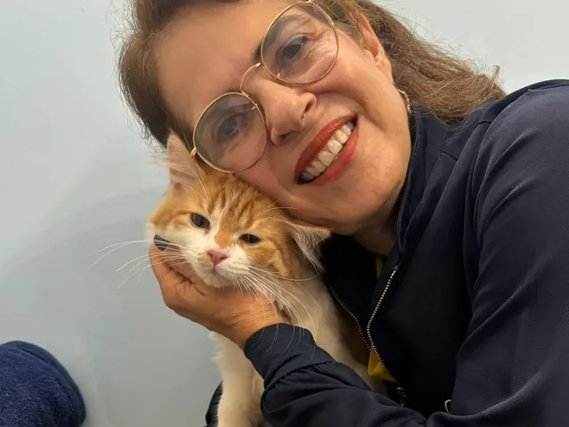 Tutor cuidando de um gatinho com carinho na Saúde Pet